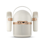 PHILIPS TAS2509 Bluetooth Karaoke Speaker - Image 4